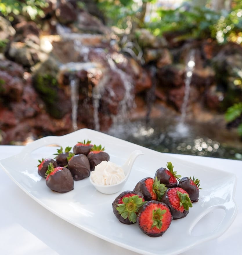 A white dessert platter serving chocolate-dipped strawberries and a small dish of whipped cream, photographed in front of a rock waterfall feature.
